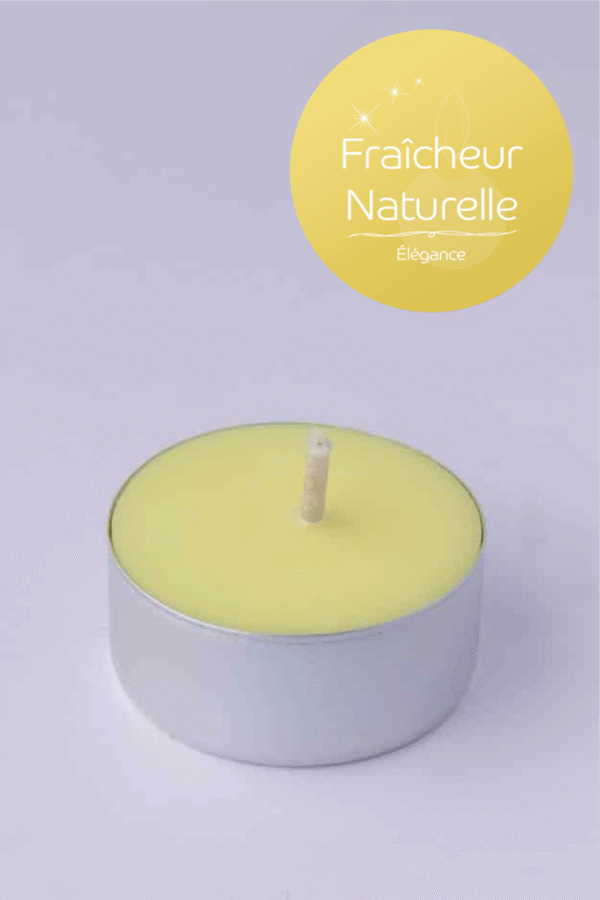 Bougie Chauffe plat Fraicheur Naturelle Bougie Chauffe plat Fraicheur Naturelle