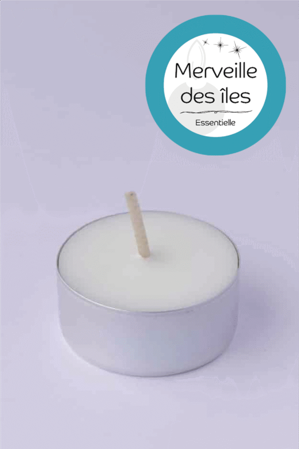 Bougie Chauffe plat Merveille des Îles Bougie Chauffe plat Merveille des Îles